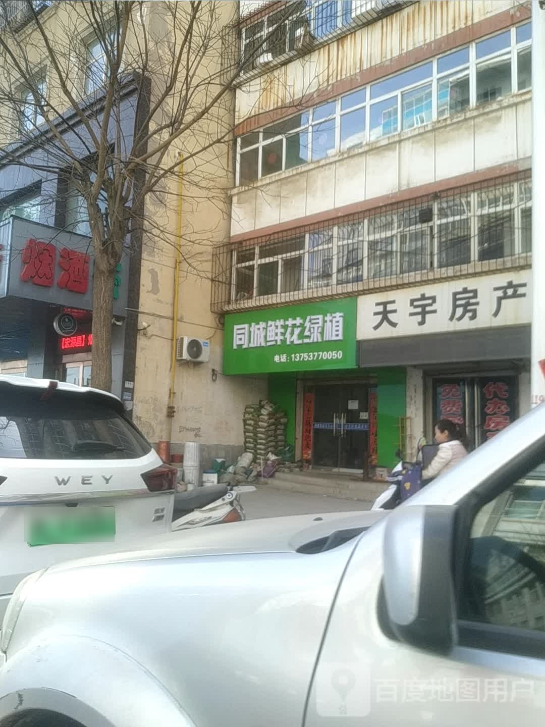 同城鲜花绿植