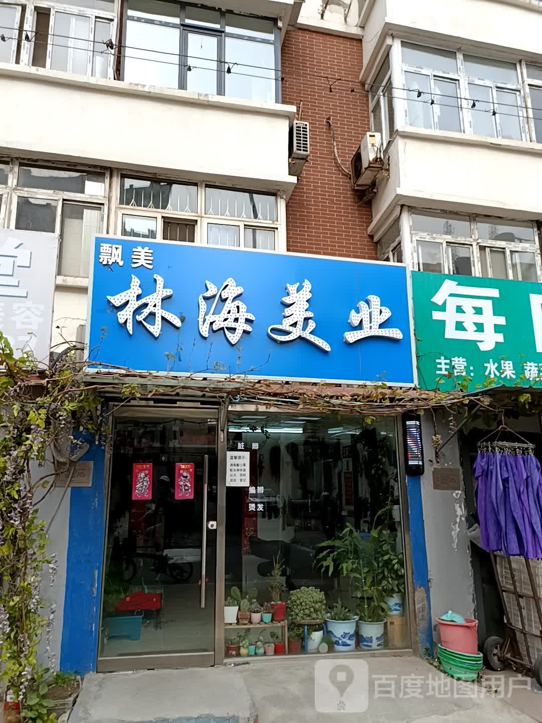 飘美林海美业
