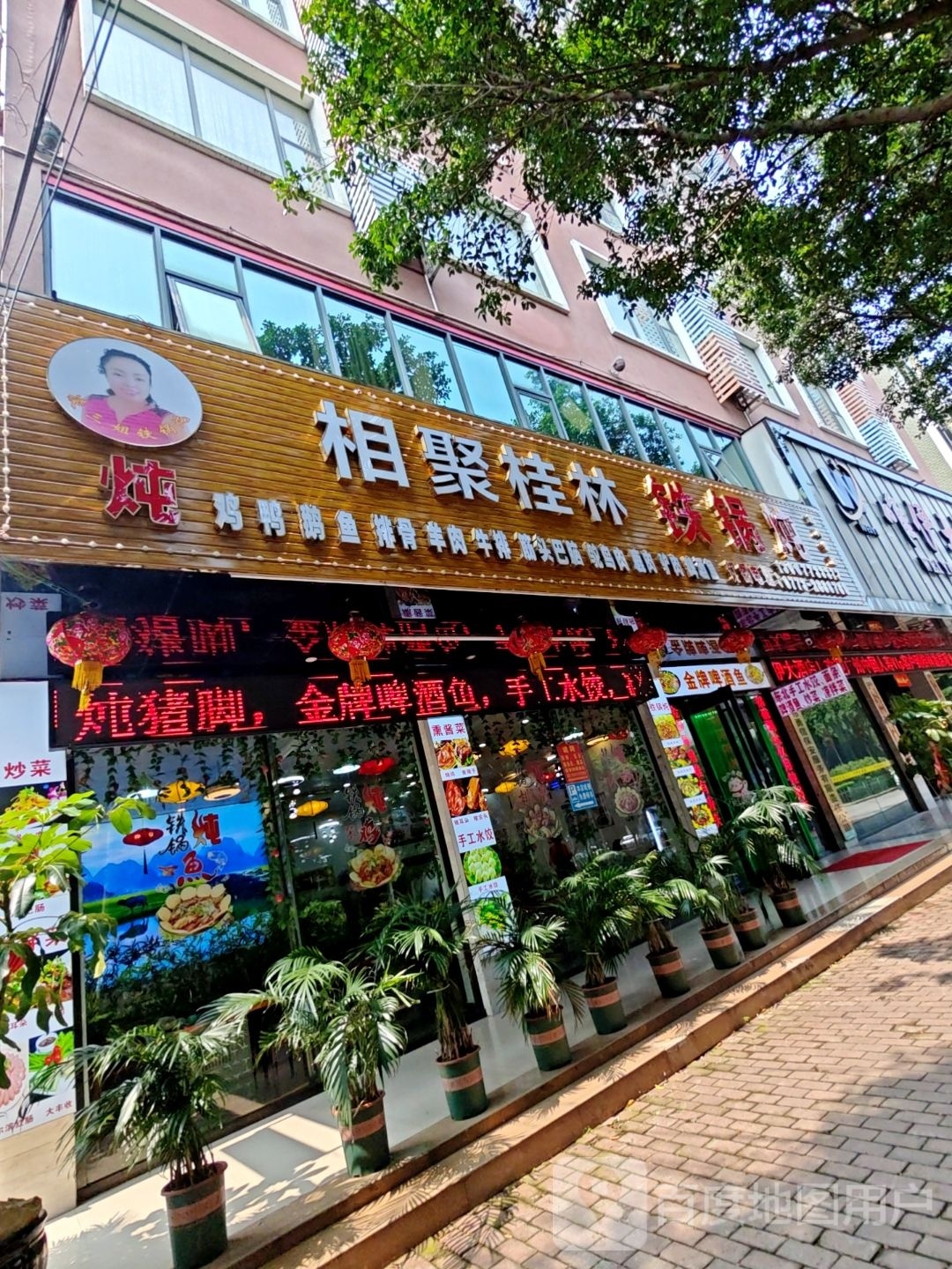 羔林相浈桂聚晨铁锅炖东安路第八分店