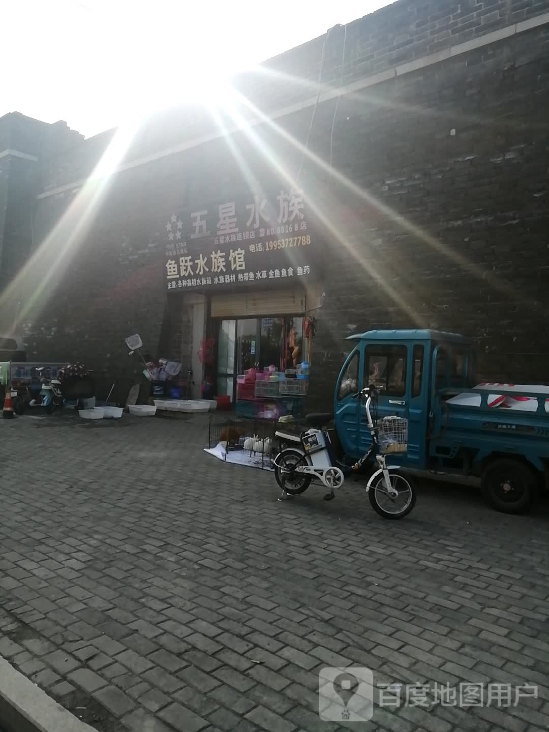 五星水族鱼跃水族馆