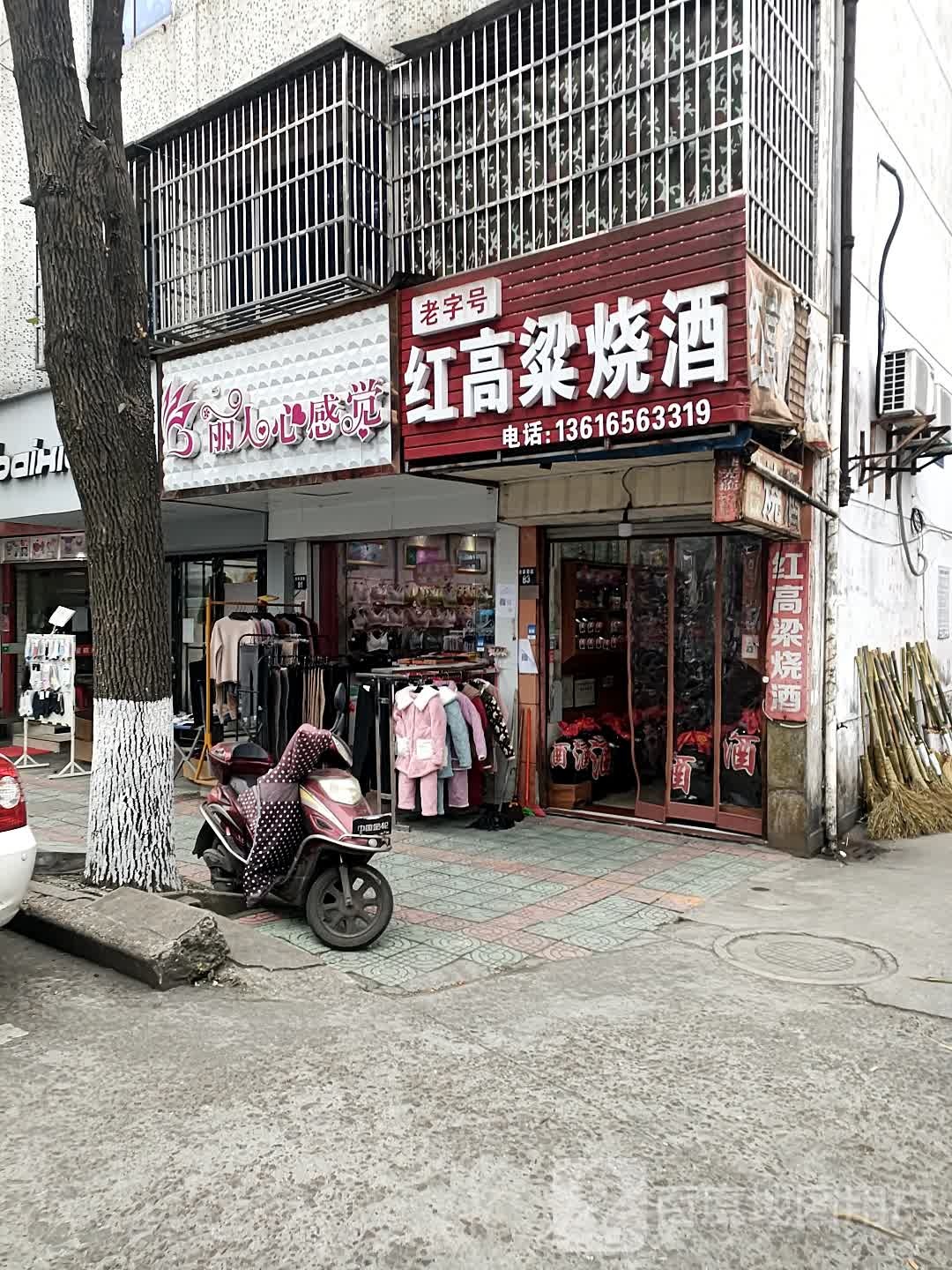 丽人心感觉