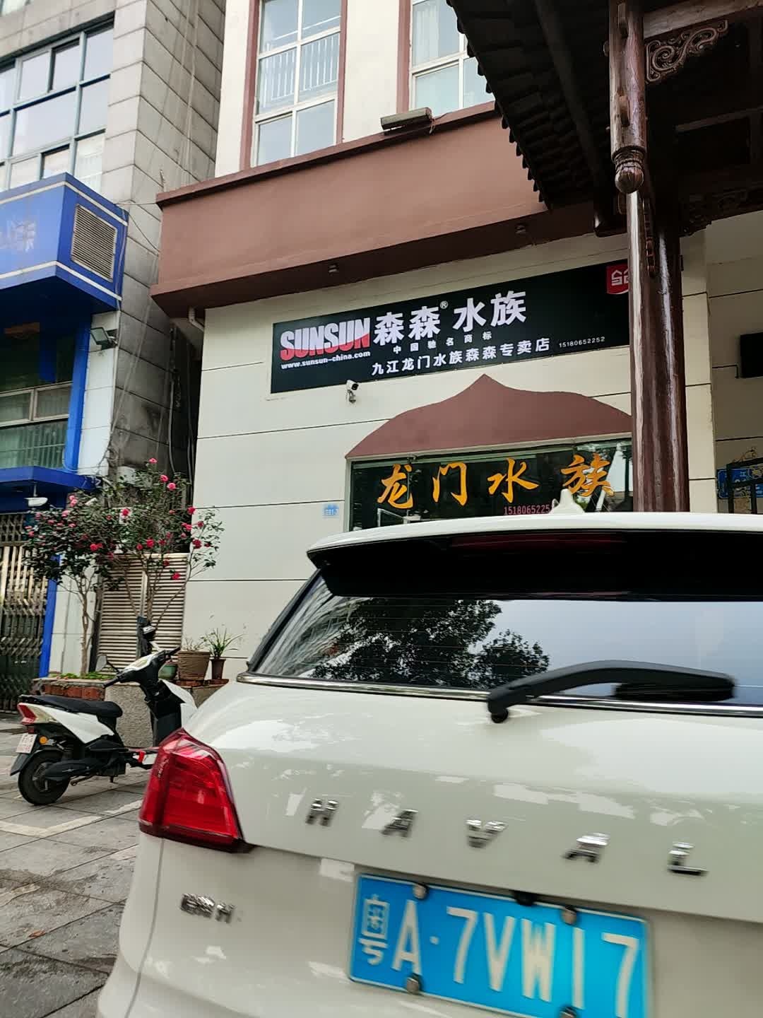 龙门水族(滨江国际店)