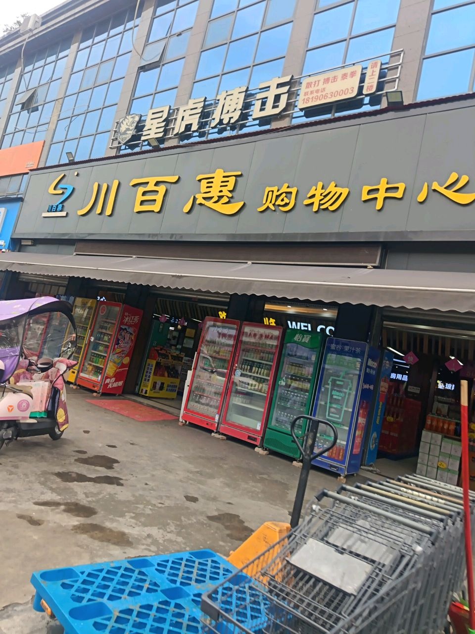 星虎搏击
