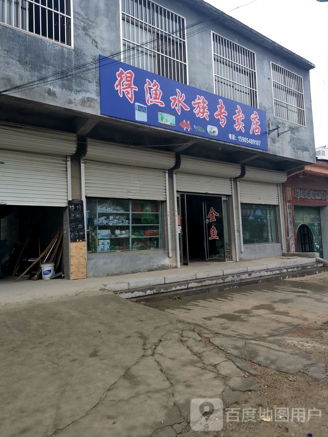 德渔水族专卖店