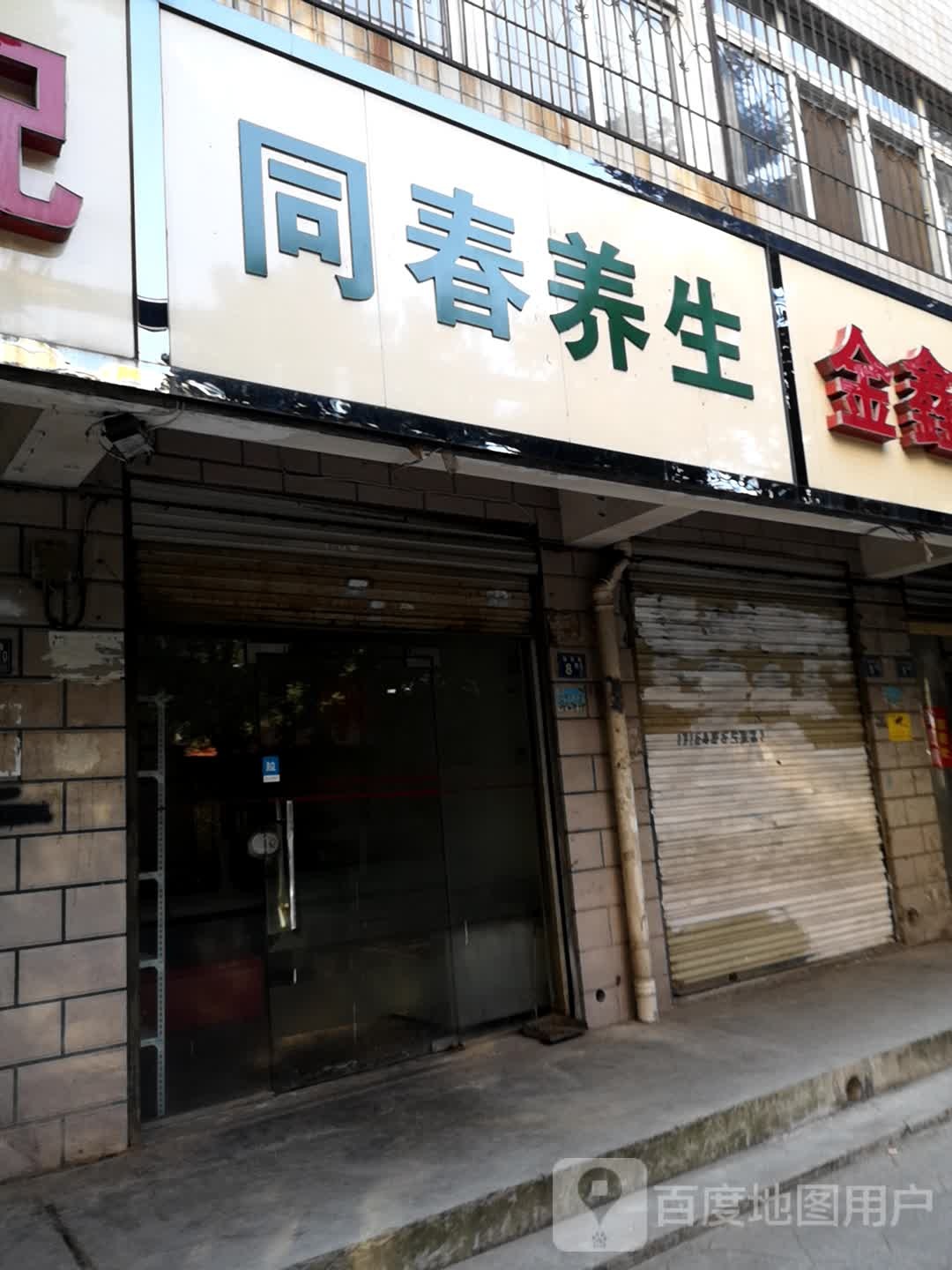 同春养生