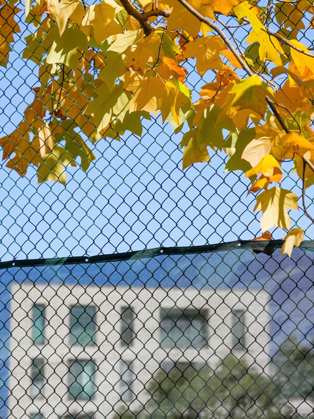 白鹭公园