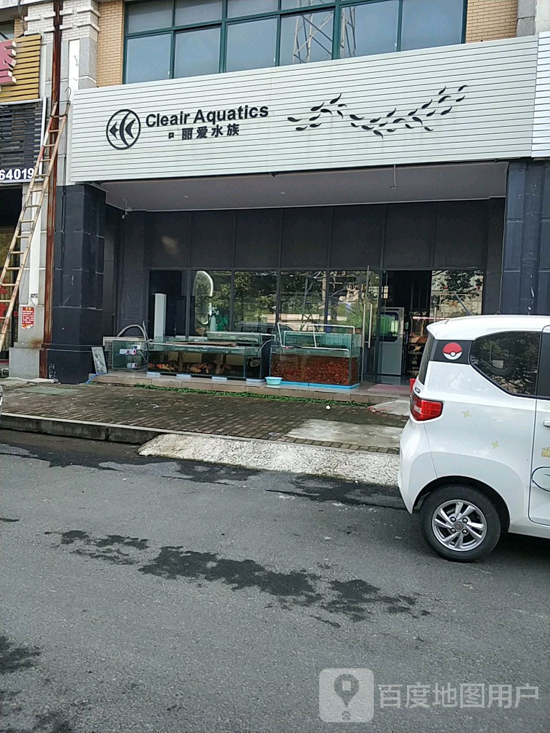 可丽爱水族馆(丹界线店)