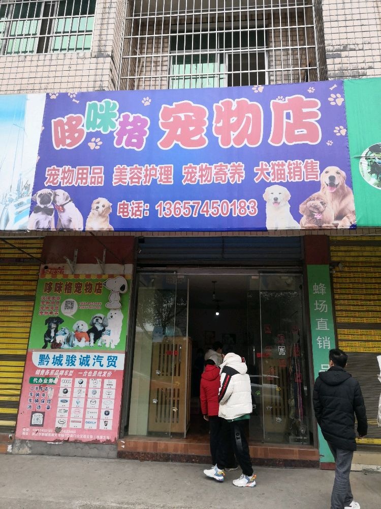 哆咪格宠物店