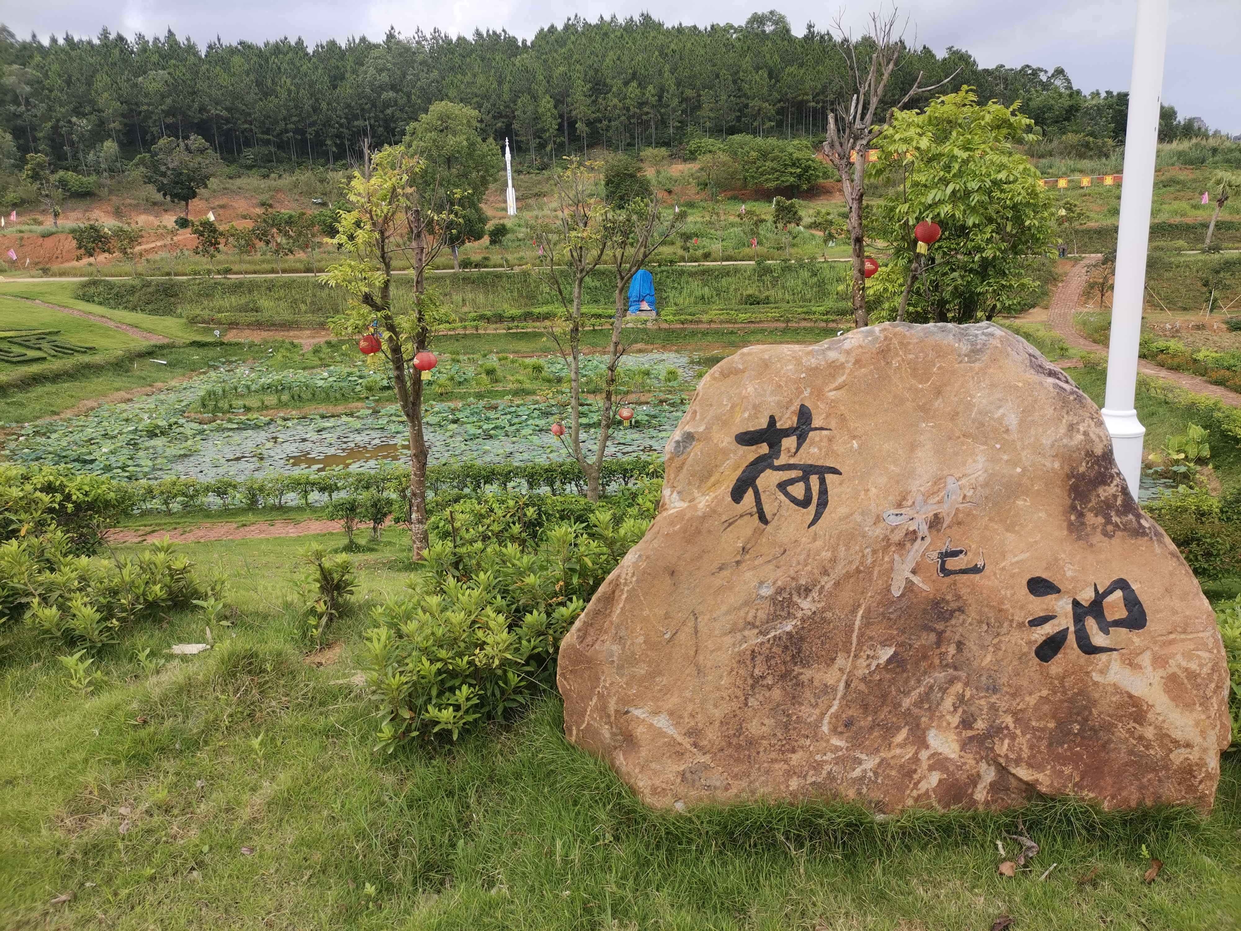 荷花池