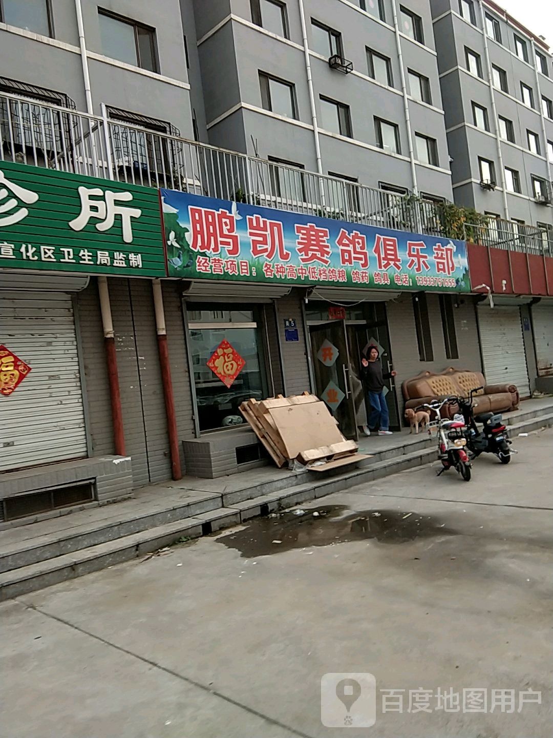 鹏凯赛鸽俱乐部