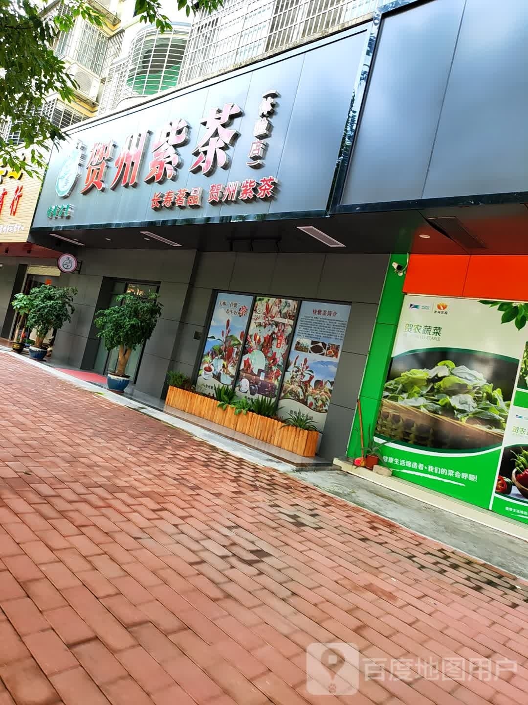 喝粥紫茶
