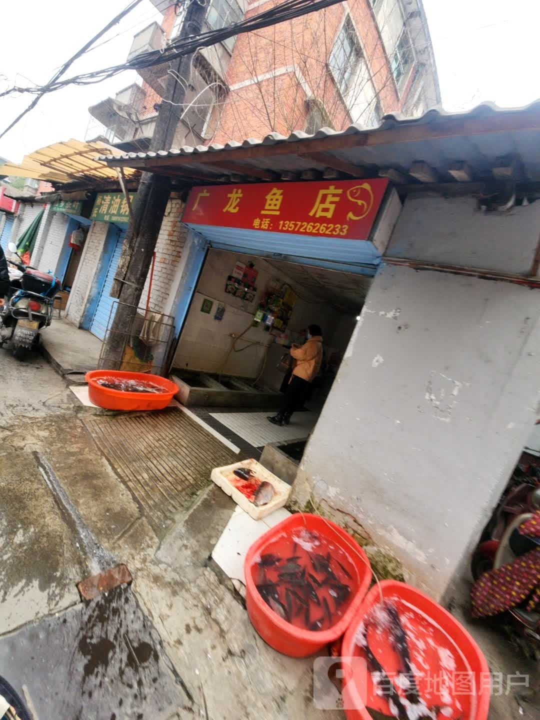 广龙鱼店
