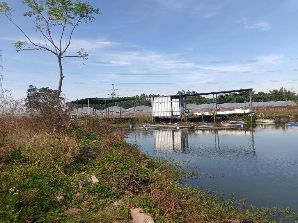 劳氏垂钓采摘园