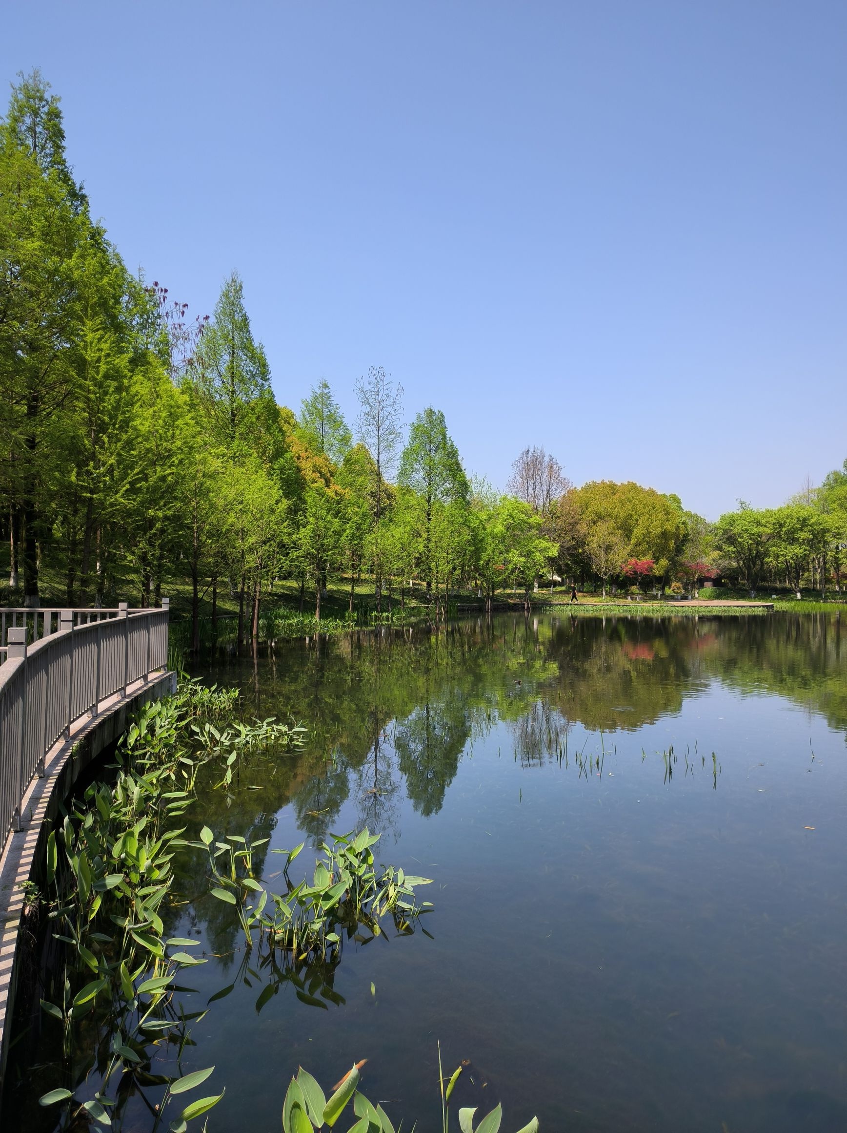 杭州城西休闲公园