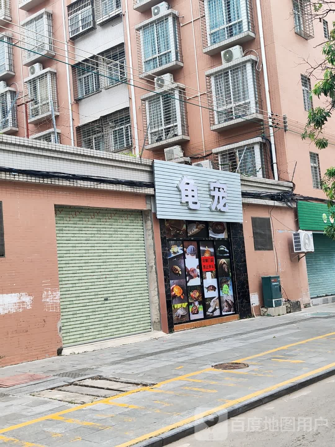 龟宠(蓝天花园店)