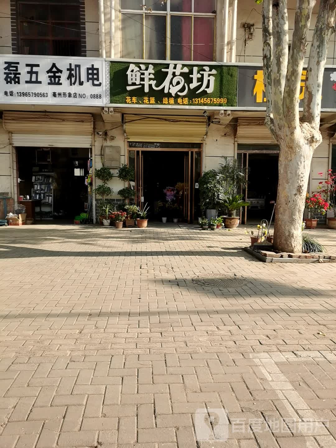 鲜花坊(大兴路店)