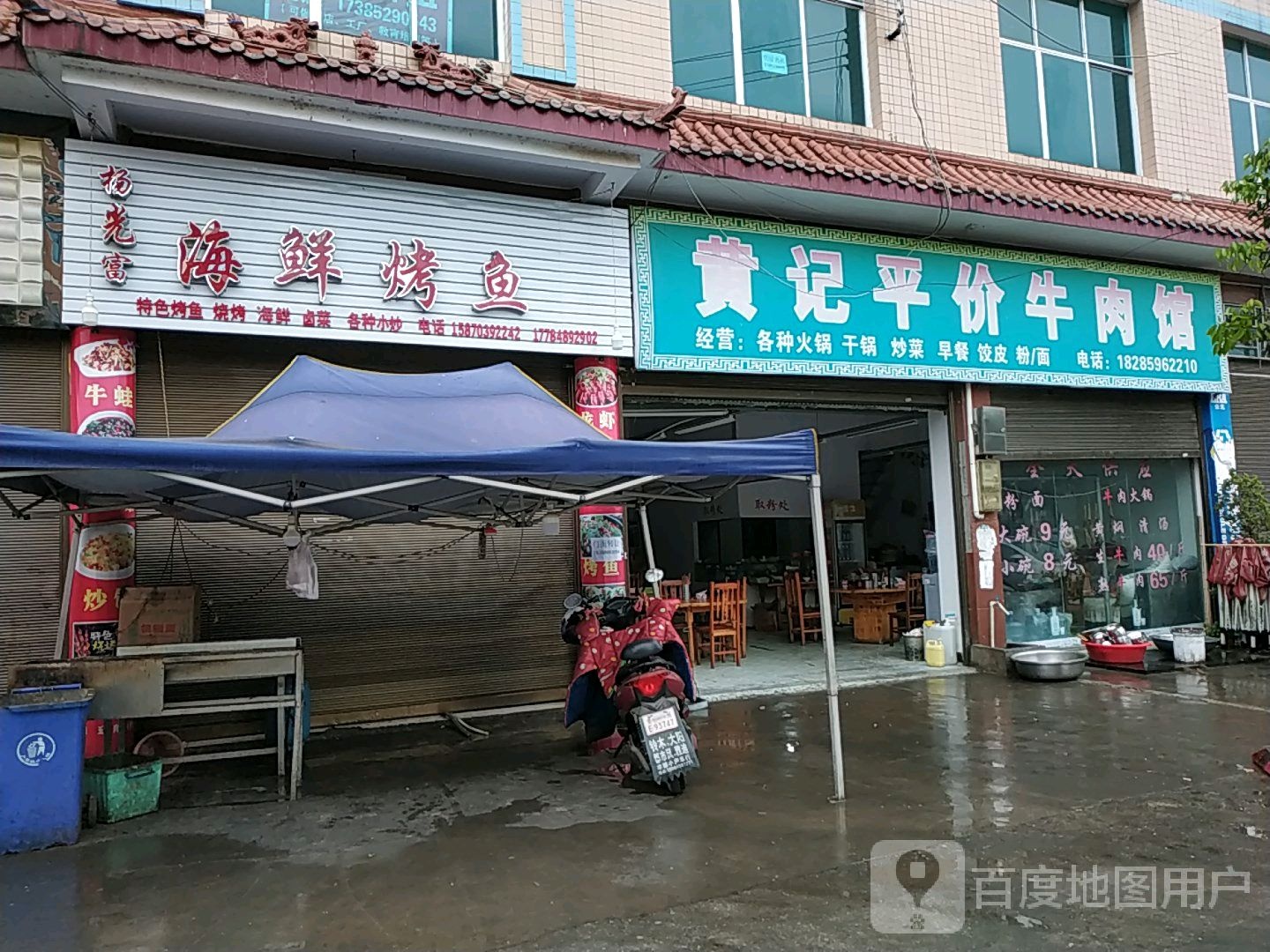 杨光富海鲜考鱼