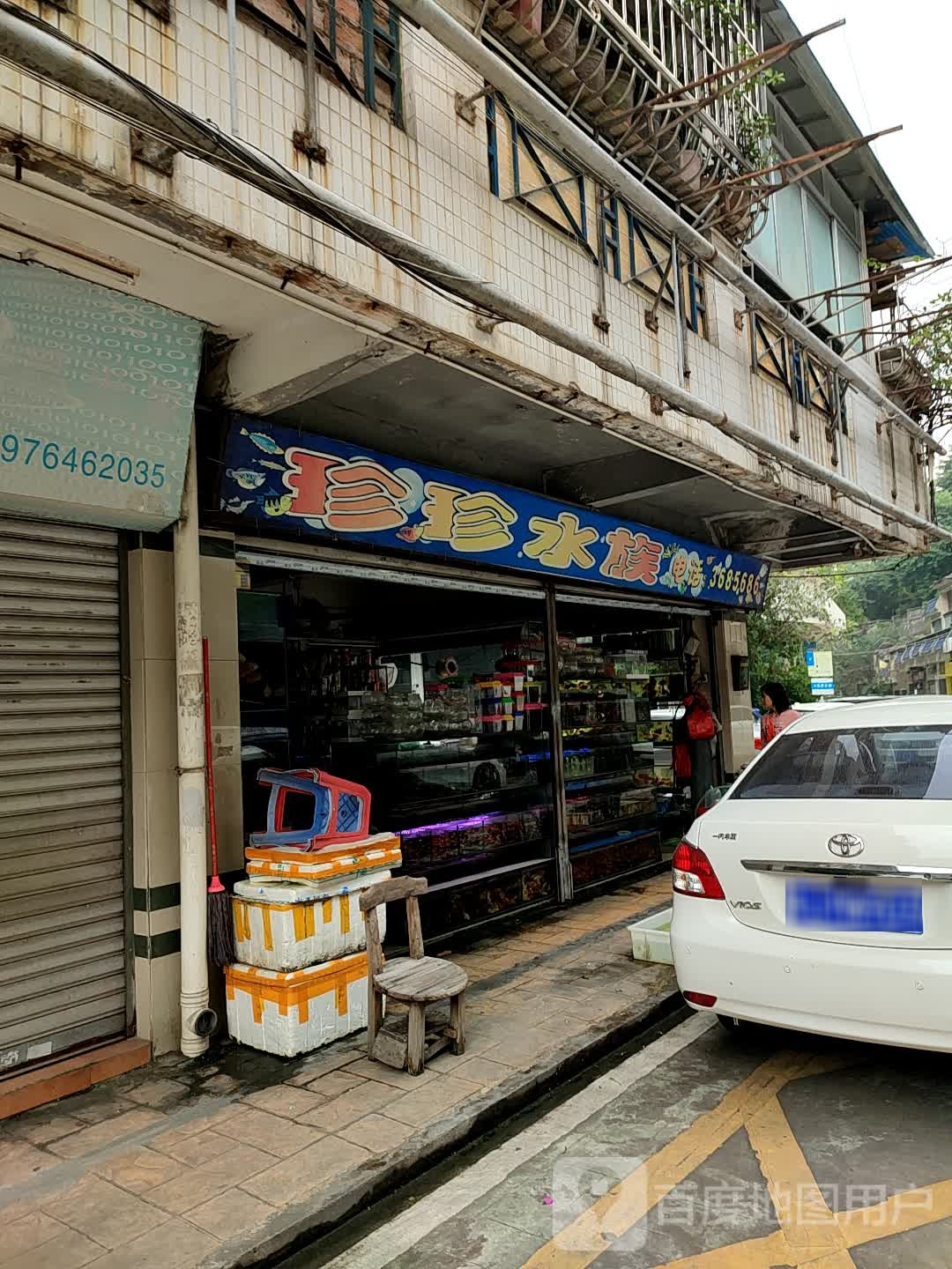 珍珍水族