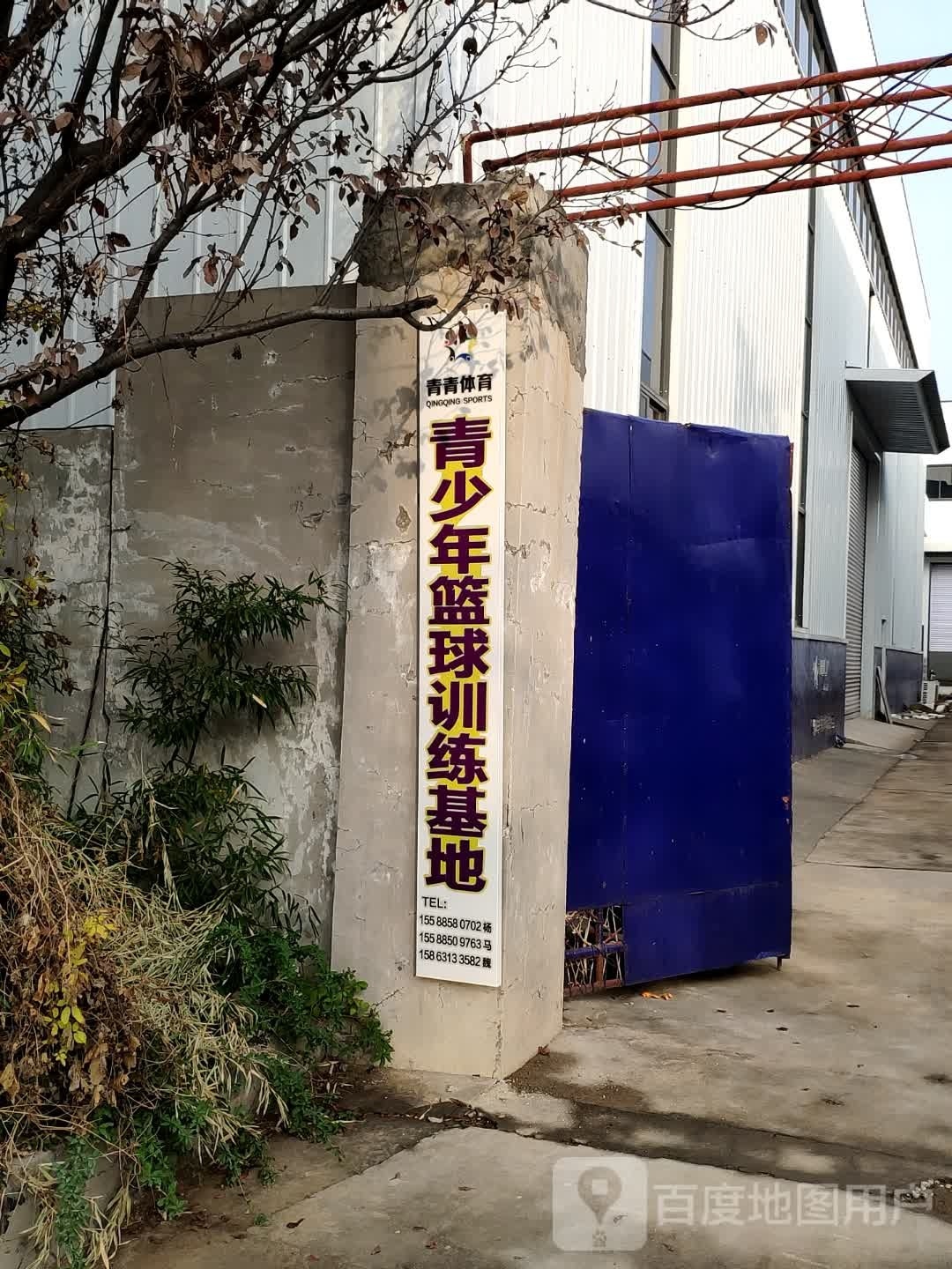 青青体育(曼巴篮球馆)