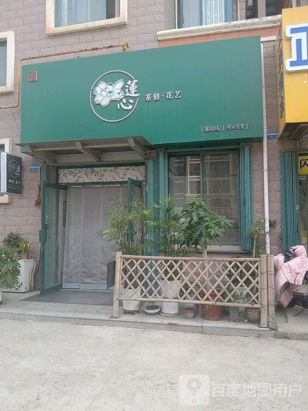 莲心花修花艺