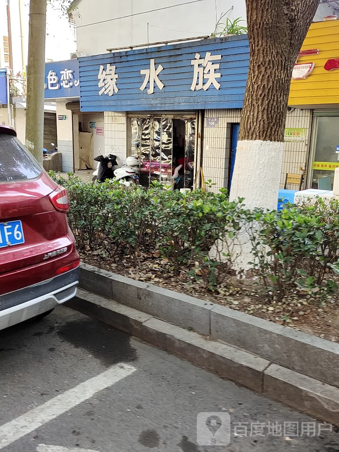 缘水族