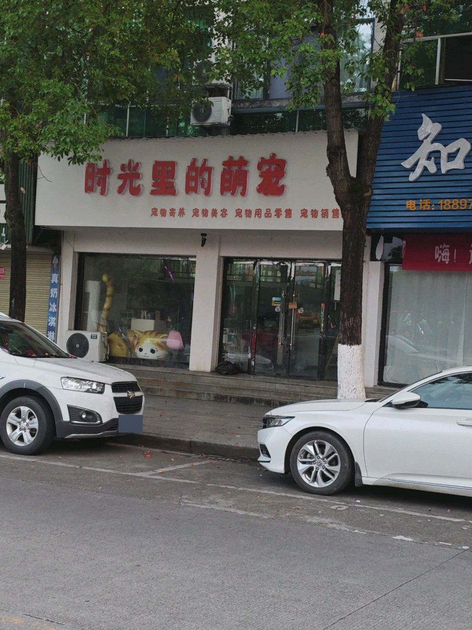 时光里的萌宠