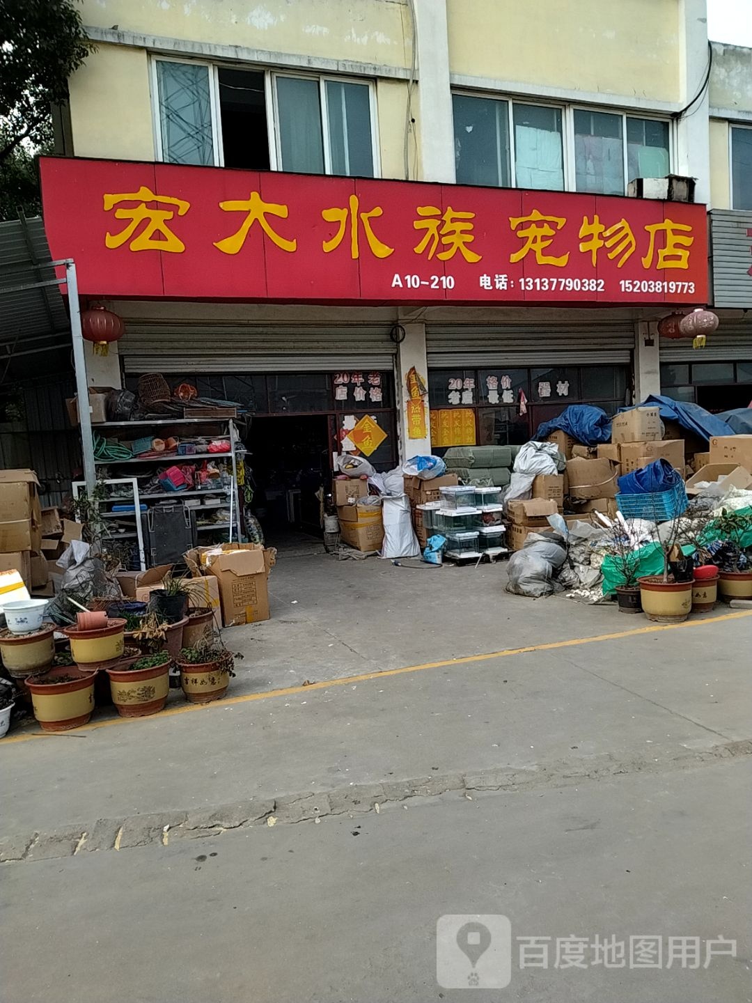 宏大水族宠物店