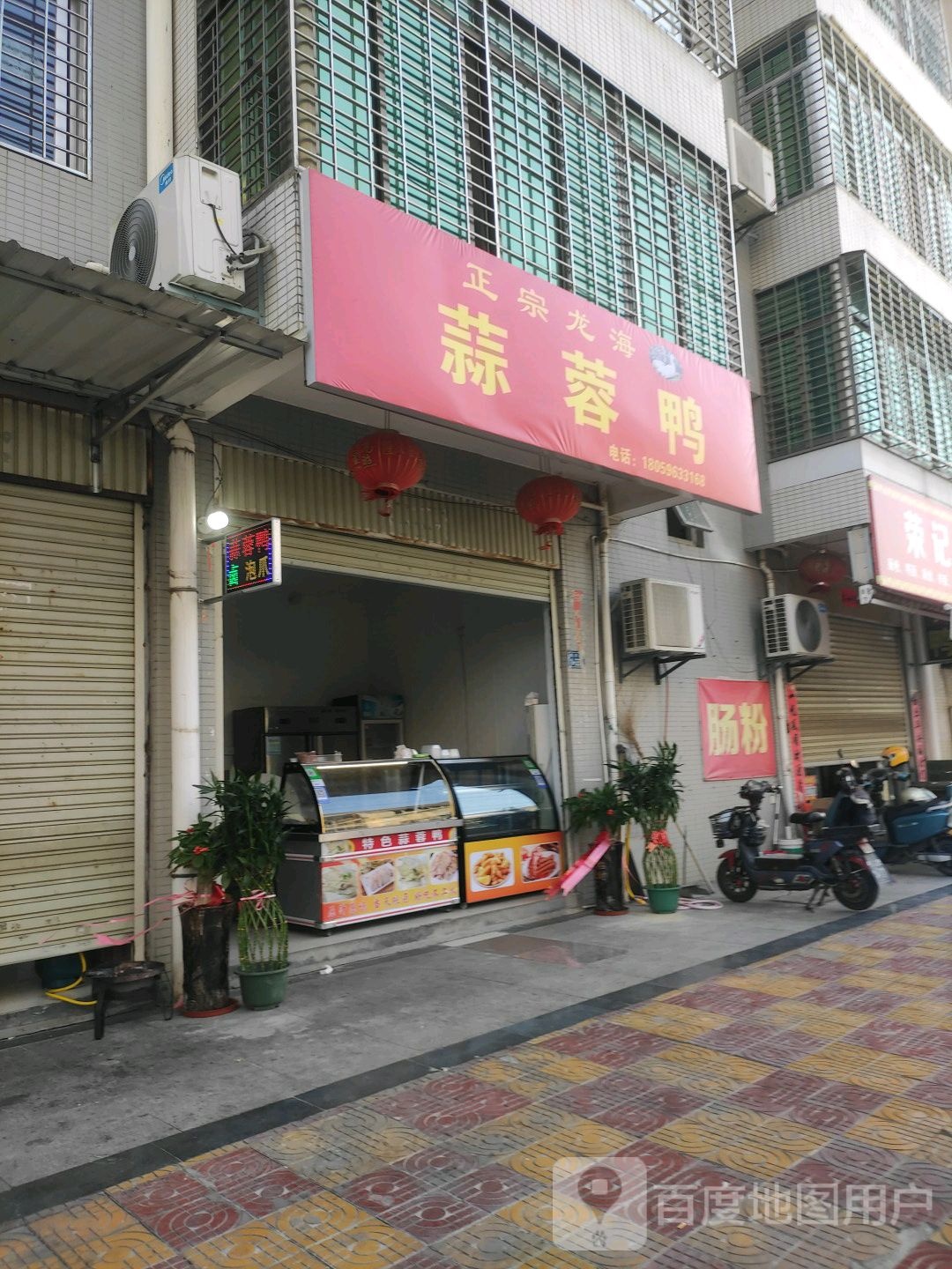 正宗龙海蒜蓉鸭