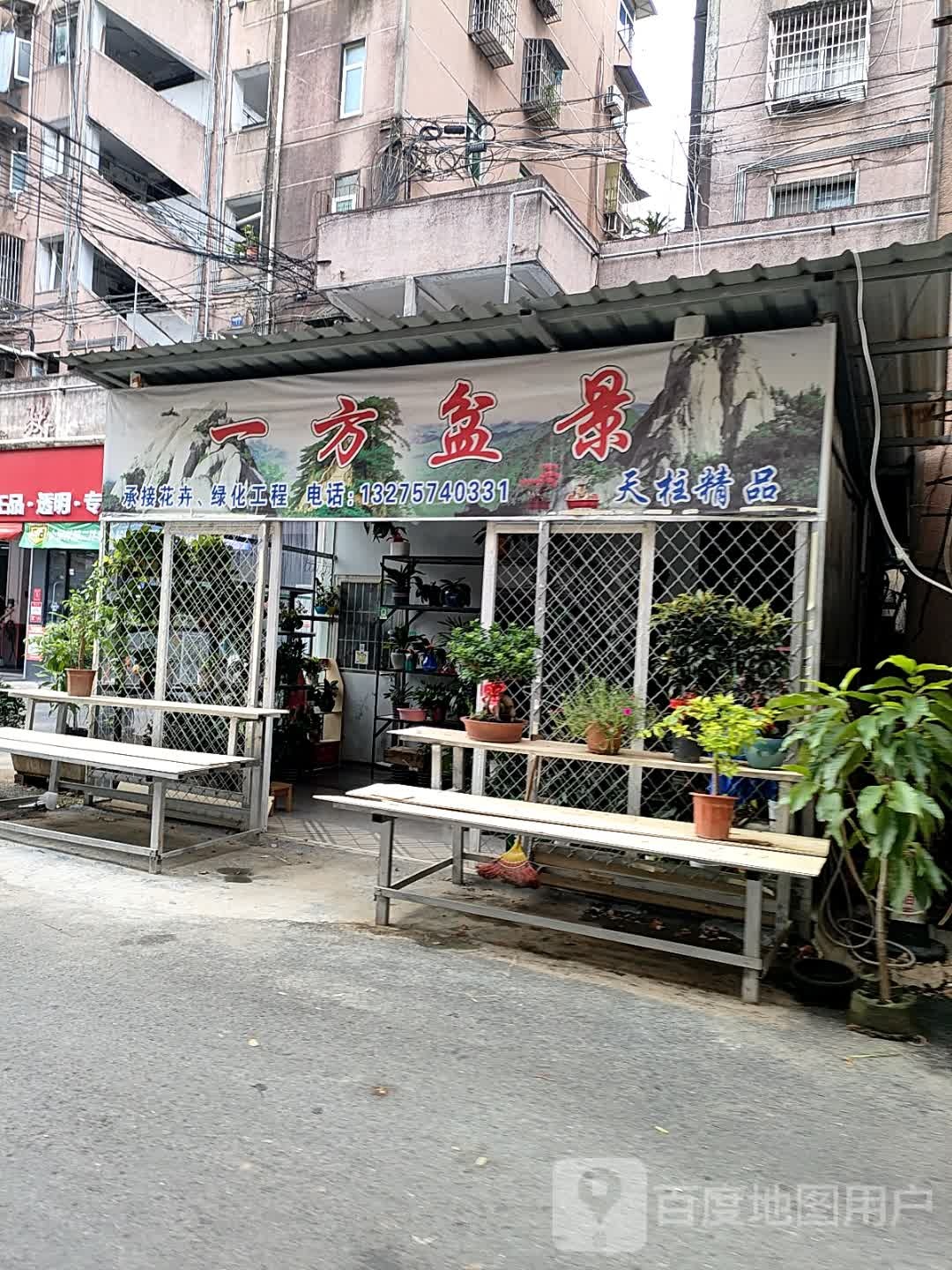 一方盆景