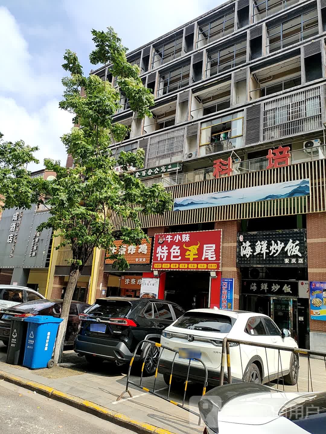 牛小妹特色牛尾巴