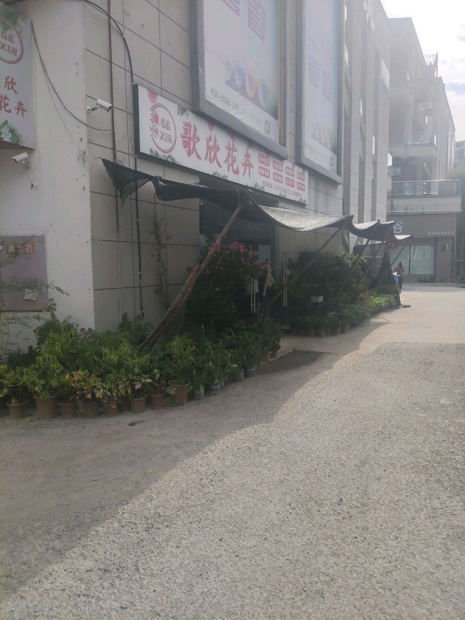歌欣花卉