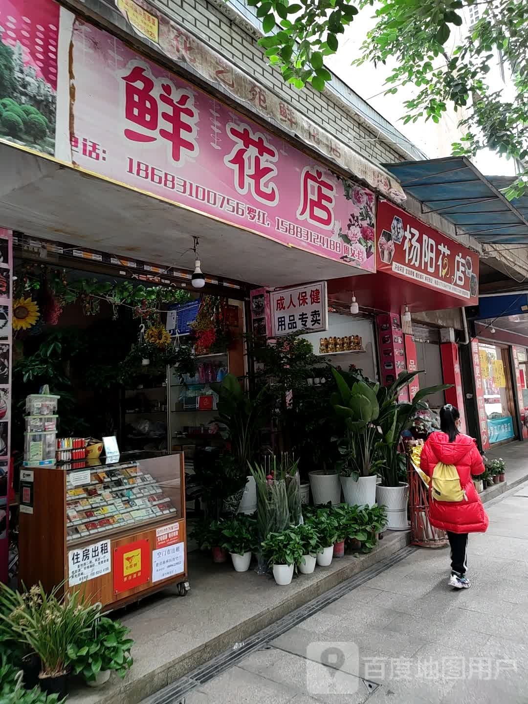 杨阳花店