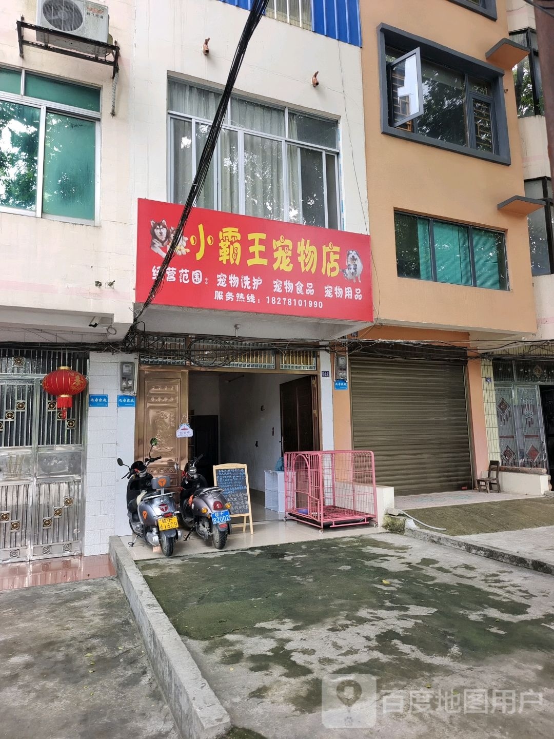 小霸王宠物店