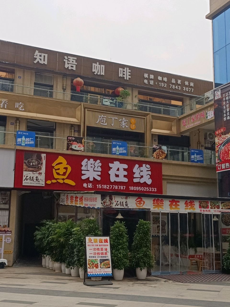 鱼乐在线