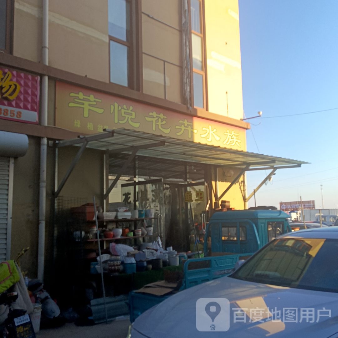 芊悦花卉水族