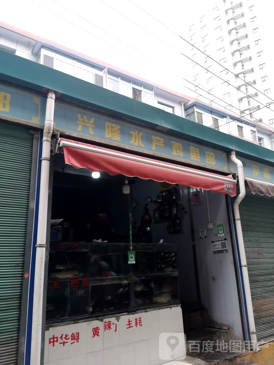 兴隆水产鸡鱼部