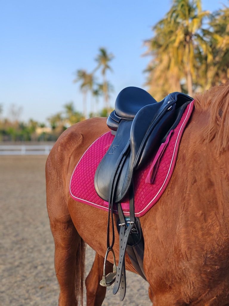 陵水新村河谷马术俱乐部