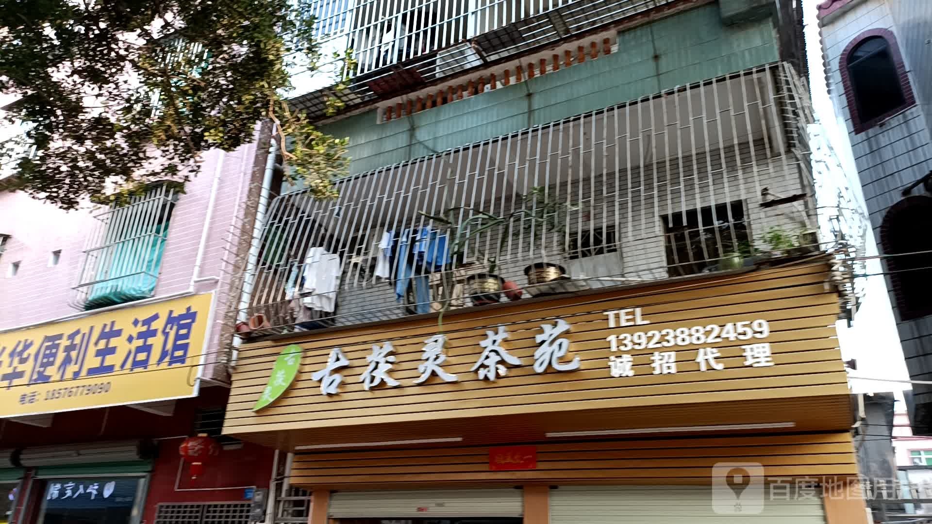古茯灵茶苑