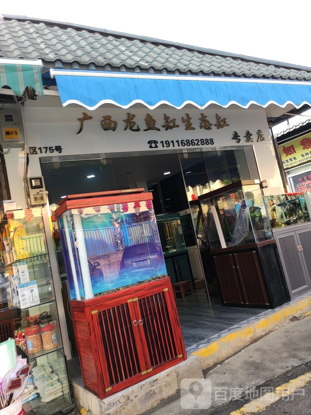 广西龙鱼缸生态缸专卖店