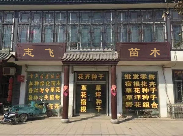 志飞苗木经营部