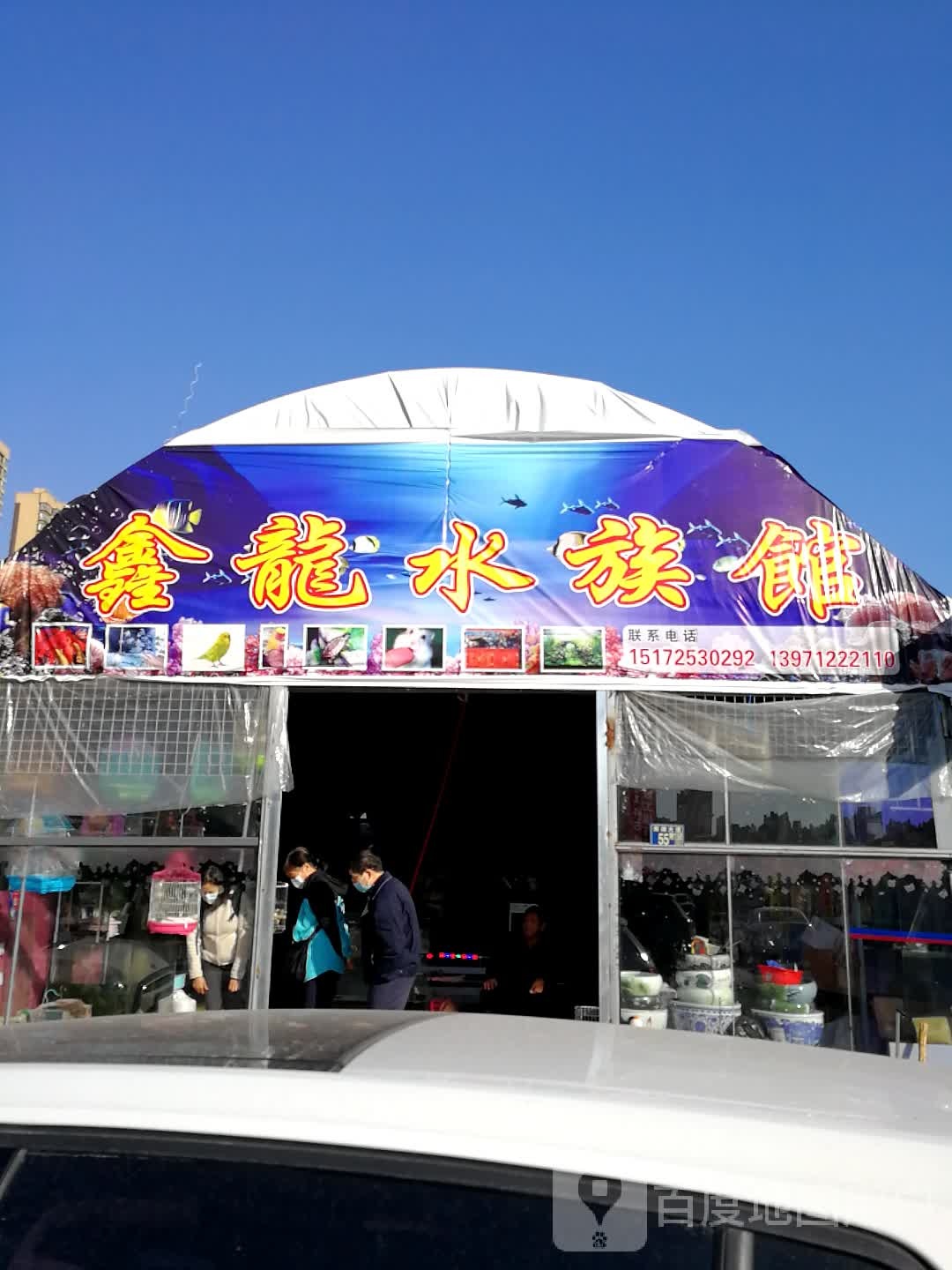 鑫龙水族生活馆