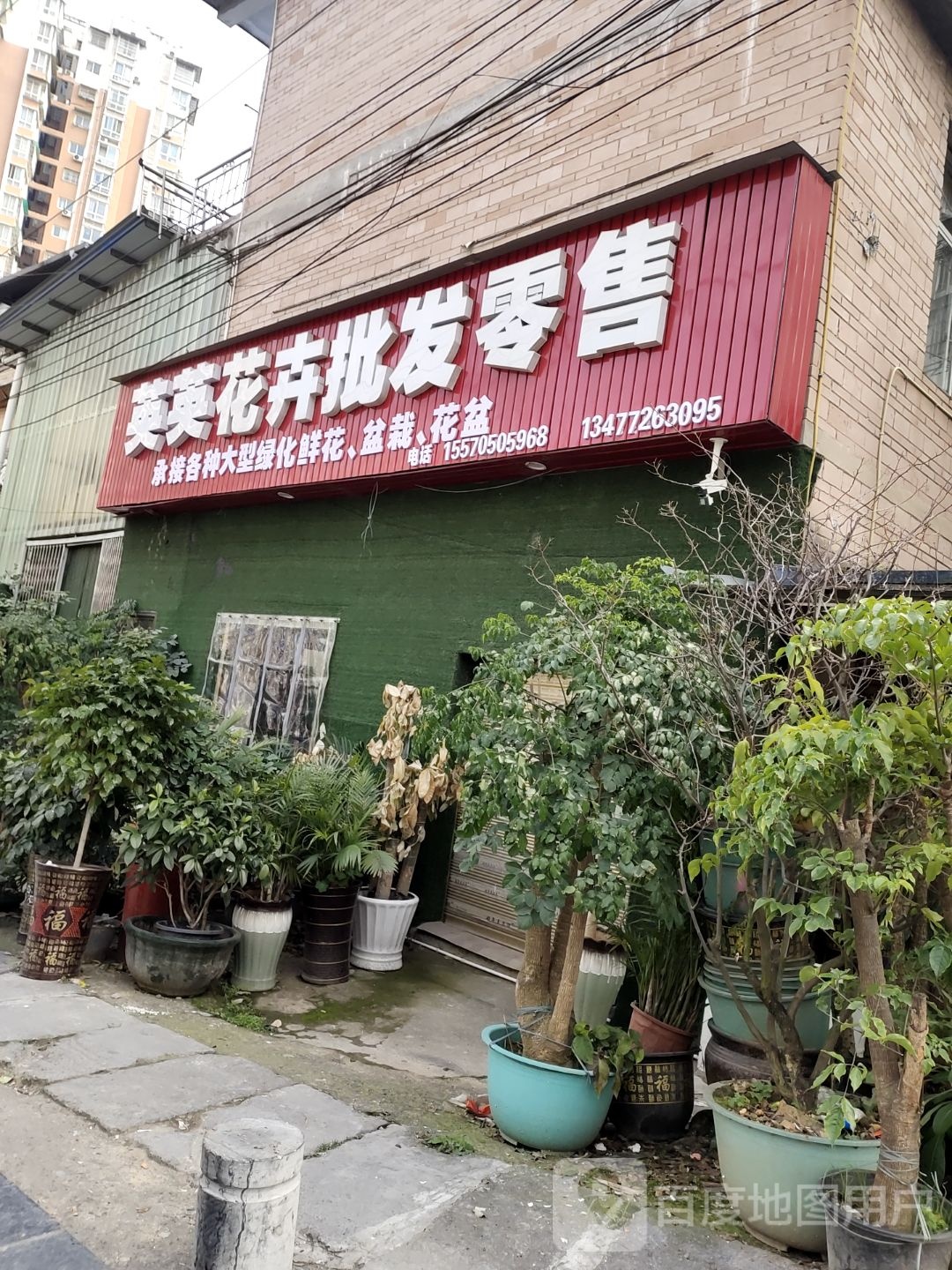 英英花卉批发