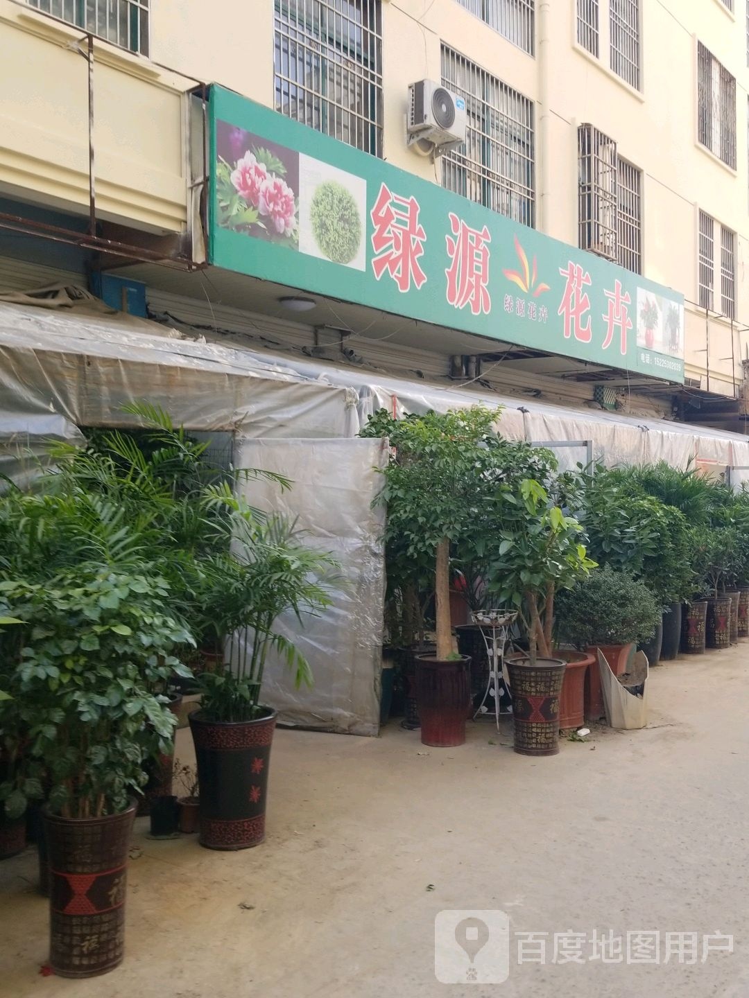 固始县绿源花卉(红苏大道店)