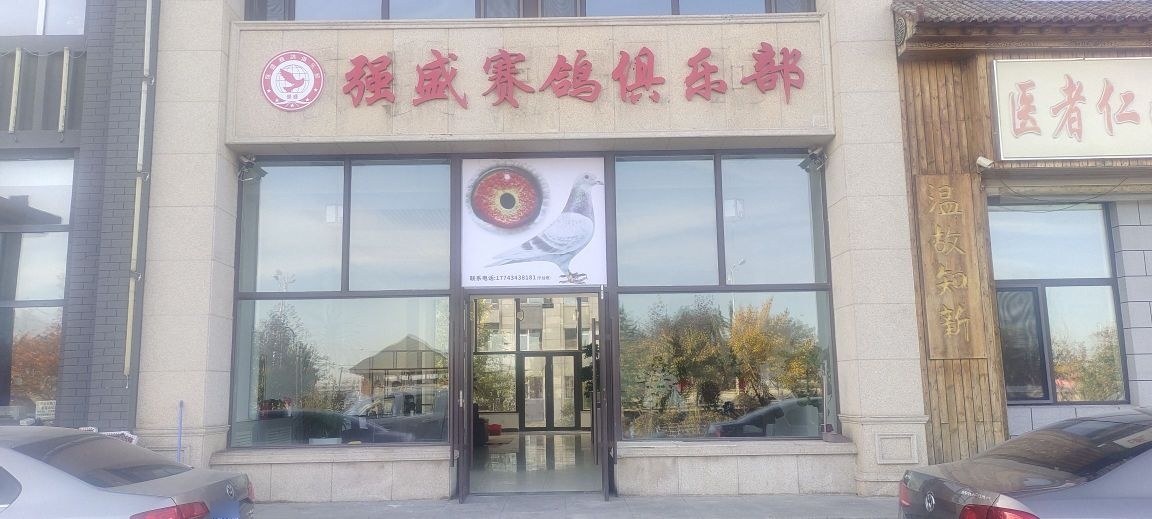 强盛赛鸽俱乐部