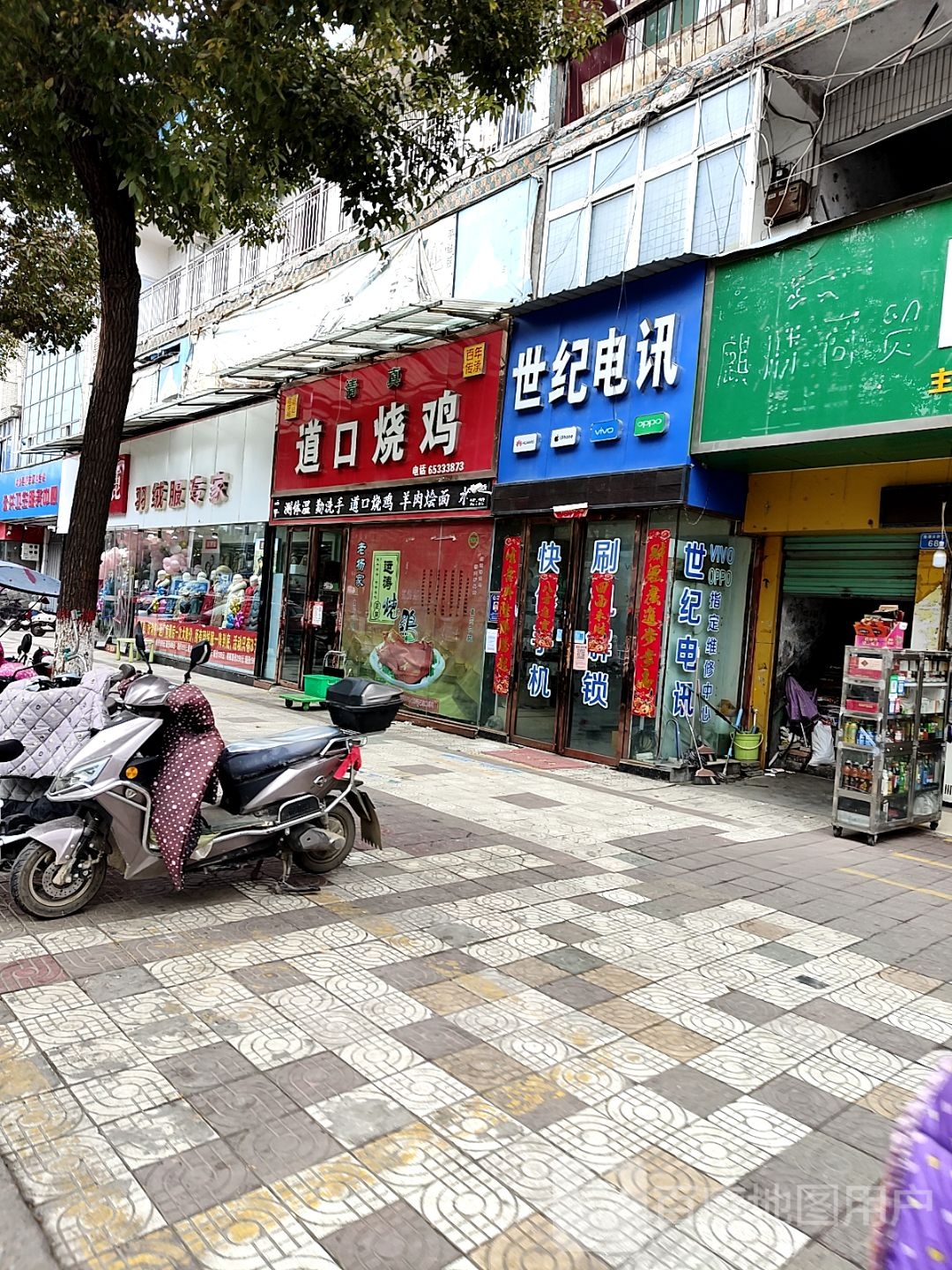 内乡县雅鹿(菊潭大街店)