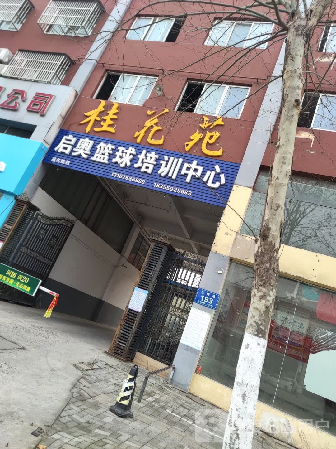 启奥篮球(六里校区)