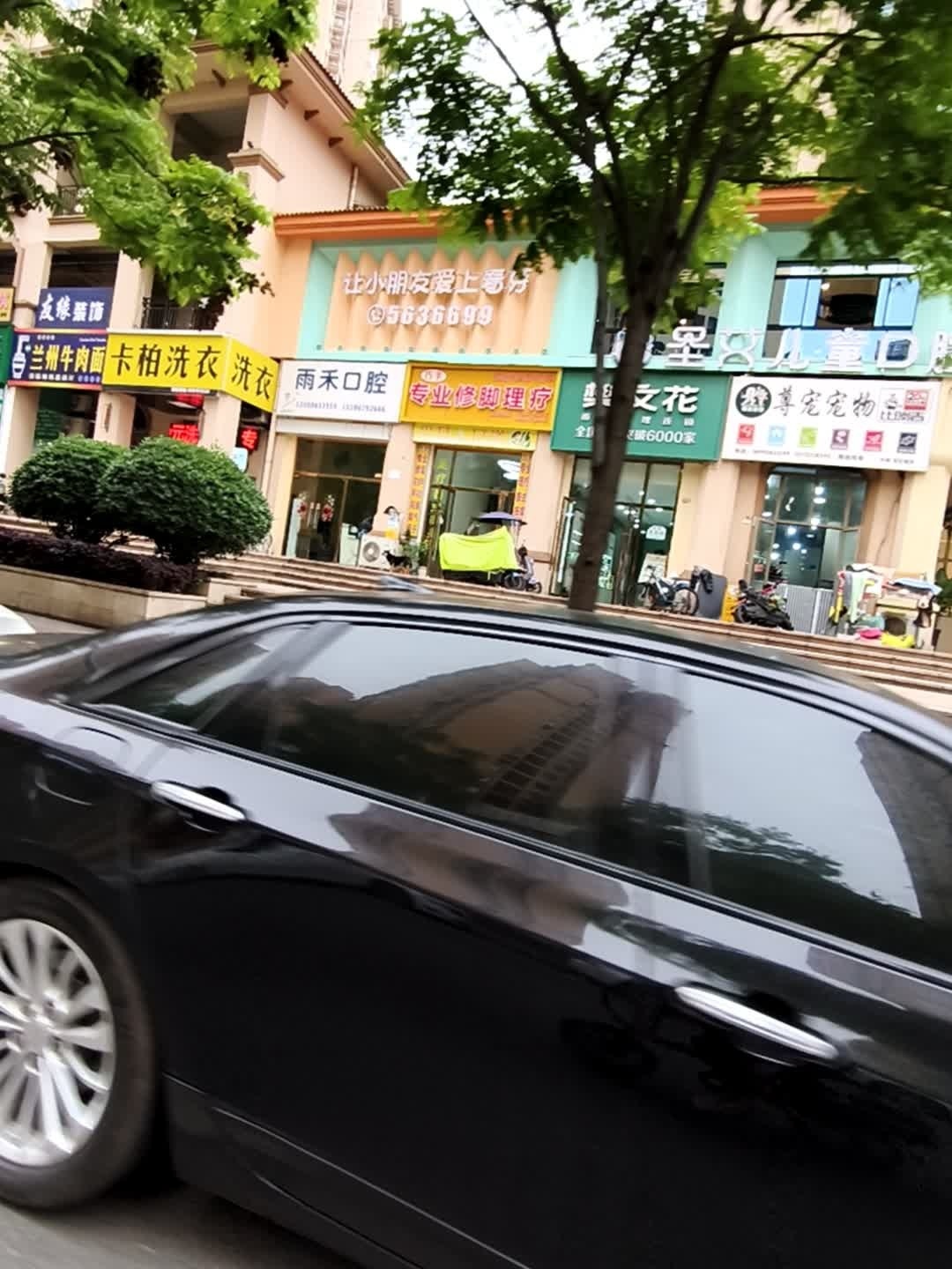 尊宠宠物(中南·世纪城店)