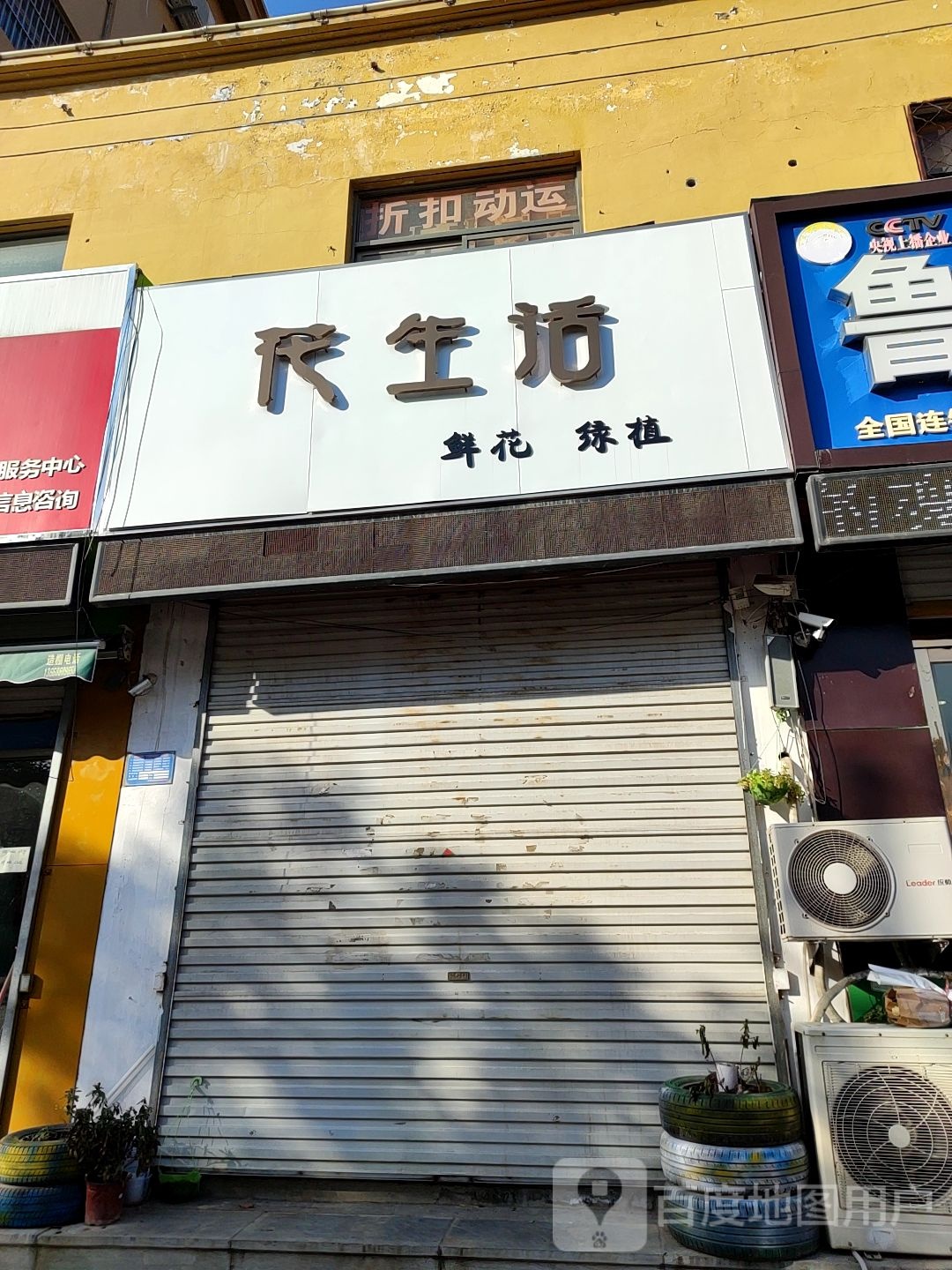 花生活鲜花绿植