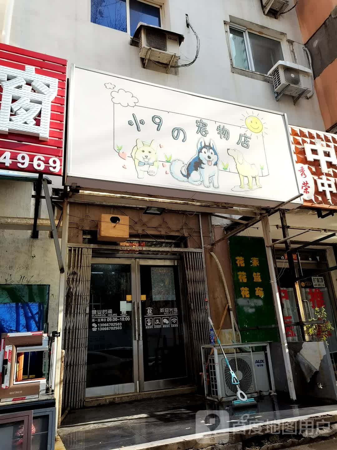 小9的宠物店