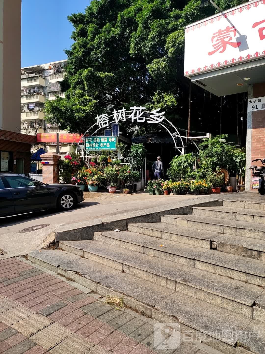 榕树花乡